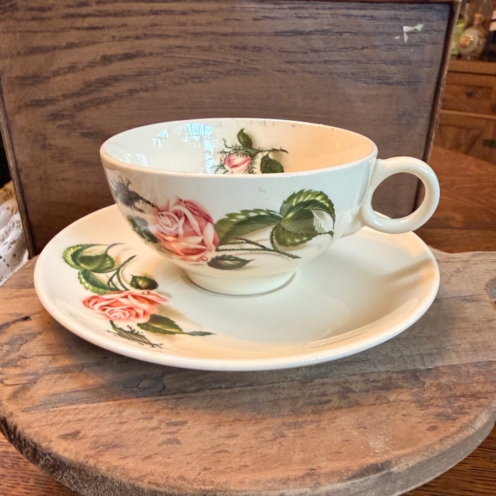 Vintage Teacup and Saucer set in Moss Rose pattern